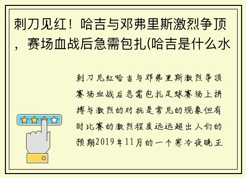 刺刀见红！哈吉与邓弗里斯激烈争顶，赛场血战后急需包扎(哈吉是什么水平的球员)