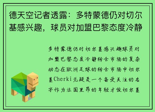 德天空记者透露：多特蒙德仍对切尔基感兴趣，球员对加盟巴黎态度冷静